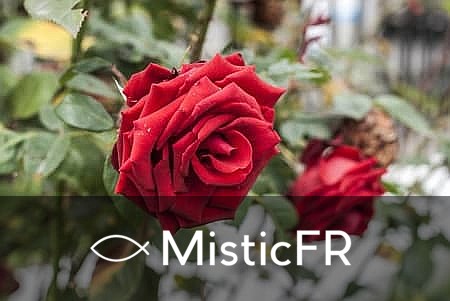 Prière à Sainte Rita de Cascia : Patronne des causes impossibles