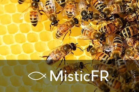 Rêver d'abeilles dans le 