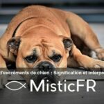 Rêver d'excréments de chien : Signification et interprétation