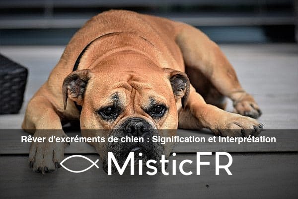 Rever_d_excrements_de_chien__Signification_et_interpretation