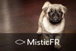 Rêver d'excréments de chien : Signification et interprétation