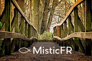 Rêver d'excréments de chien : Signification et interprétation