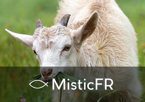 Rêver d'un bouc