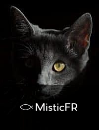 Rêver d'un chat mort