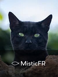 Rêver d'un chat qui mord