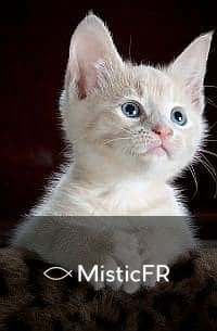 Rêver d'un chat qui mord
