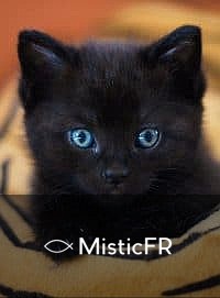 Rêver d'un chaton