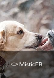 Rêver d'un chien décédé