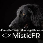 Rêver d'un chien noir : Que signifie ce songe ?