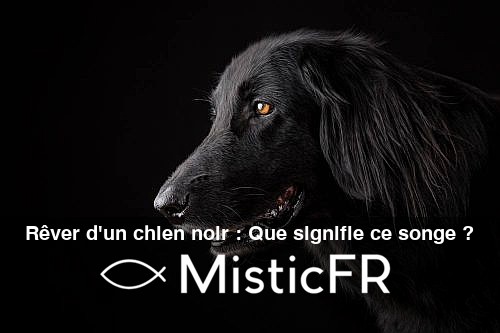 Rever_d_un_chien_noir__Que_signifie_ce_songe_
