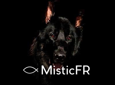 Rêver d'un chien noir : Que signifie ce songe ?
