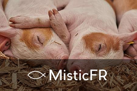 Rêver d'un cochon