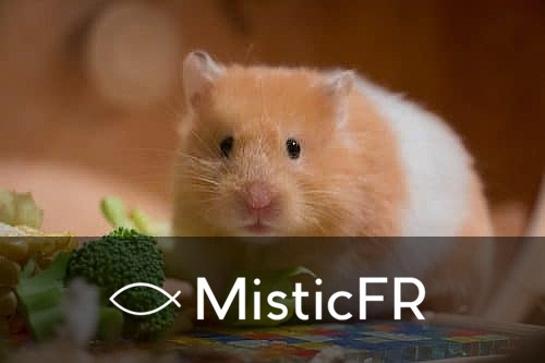 Rêver d'un hamster