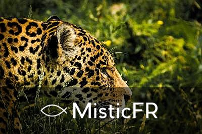Rêver d'un jaguar