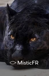 Rêver d'un jaguar