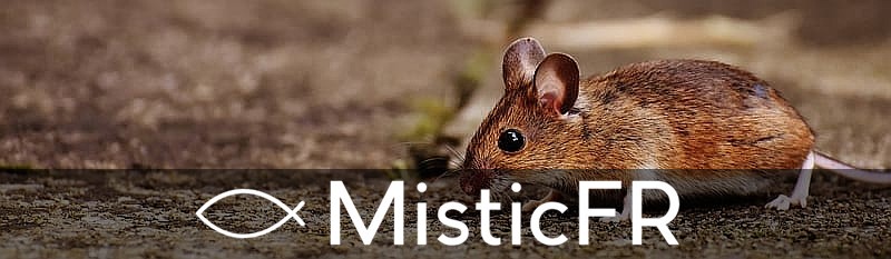 Rêver d'un rat mort