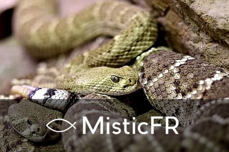 Rêver d'un serpent à sonnette