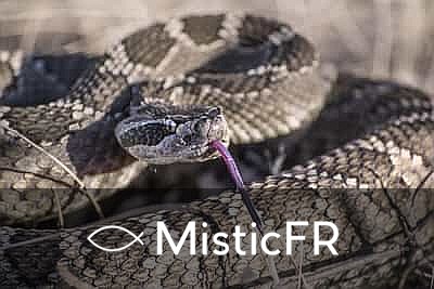 Rêver d'un serpent enroulé