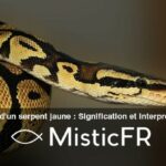 Rêver d'un serpent jaune : Signification et interprétation