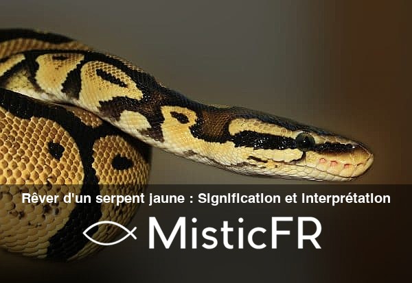 Rever_d_un_serpent_jaune__Signification_et_interpretation
