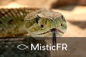 Rêver d'un serpent jaune : Signification et interprétation
