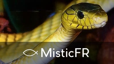 Rêver d'un serpent jaune : Signification et interprétation