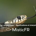 Rêver d'un serpent mort : Significations et interprétations