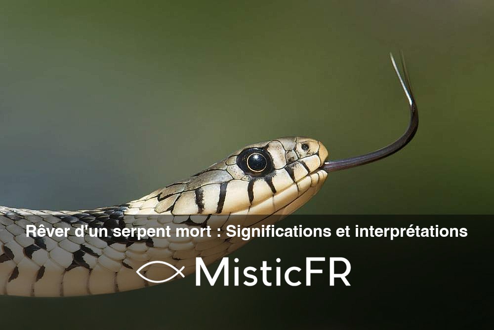 Rever_d_un_serpent_mort__Significations_et_interpretations
