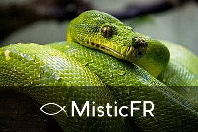 Rêver d'un serpent mort : Significations et interprétations