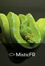 Rêver d'un serpent mort : Significations et interprétations