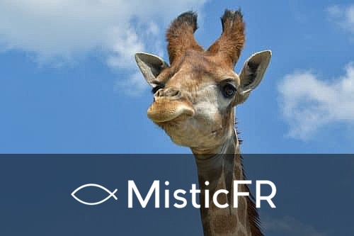 Rêver d'une girafe