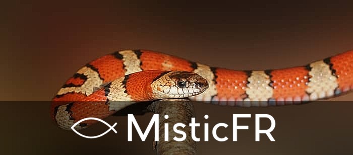 Rêver d'une morsure de serpent