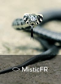 Rêver d'une morsure de serpent