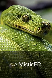 Rêver d'une morsure de serpent