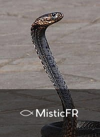 Rêver d'une morsure de serpent