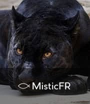 Rêver d'une panthère noire