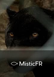 Rêver d'une panthère noire