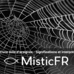 Rêver d'une toile d'araignée : Significations et interprétations