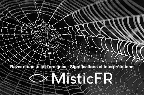Rever_d_une_toile_d_araignee__Significations_et_interpretations