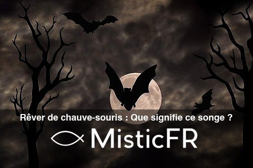 Rever_de_chauve-souris__Que_signifie_ce_songe_