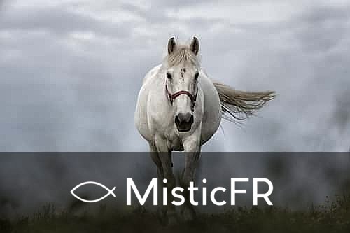 Rêver de cheval dans le Jeu de l'Animal : Signification et Présages