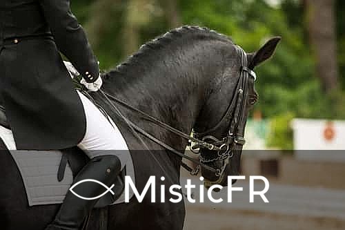 Rêver de cheval dans le Jeu de l'Animal : Signification et Présages