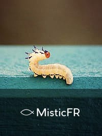 Rêver de choses sortant du corps