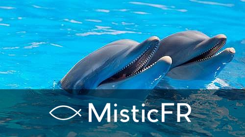 Rêver de dauphins