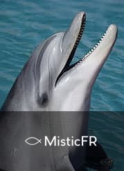 Rêver de dauphins