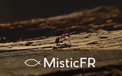 Rêver de fourmis ailées