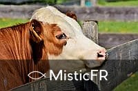 Rêver de lait maternel