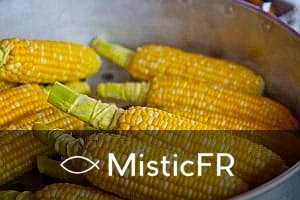 Rêver de maïs
