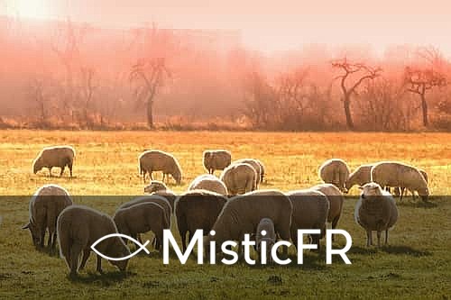 Rêver de moutons
