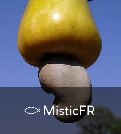 Rêver de noix de cajou